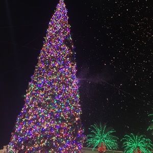 Meet your Posher, Gloria